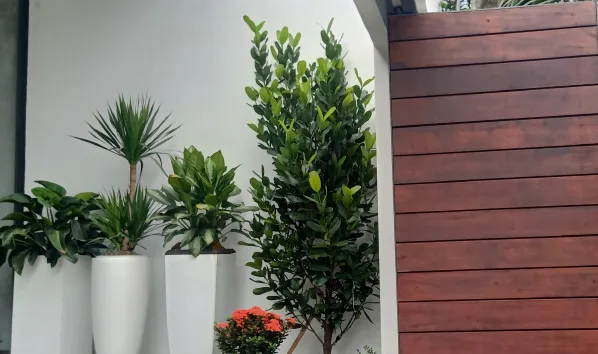 Thiết kế thi công sân vườn nhà phố quận 10