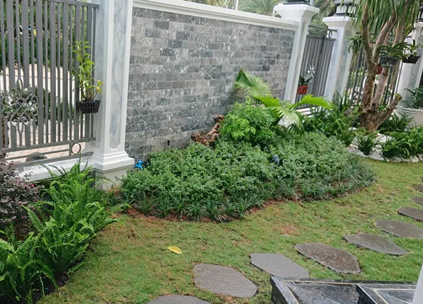 Thiết kế thi công sân vườn nhà phố quận 7 - Chị Trang