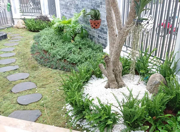 Thiết kế thi công sân vườn nhà phố quận 7 - Chị Trang