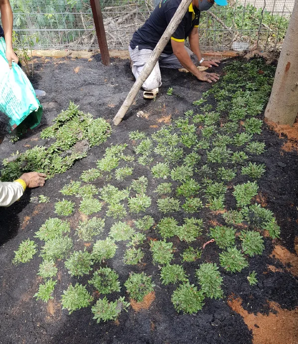 Thiết kế thi công sân vườn quận 9