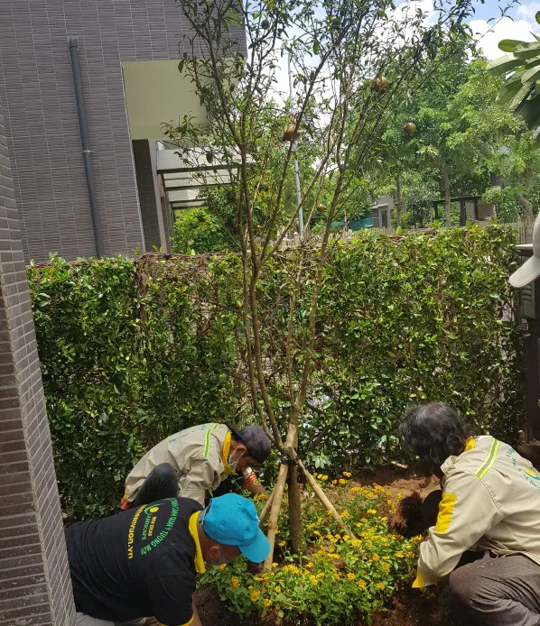 Thiết kế thi công sân vườn quận 9