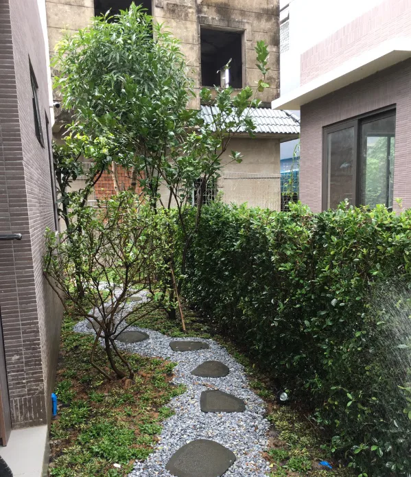 Thiết kế thi công sân vườn quận 9