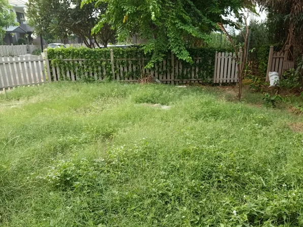 Thiết kế thi công sân vườn quận 9
