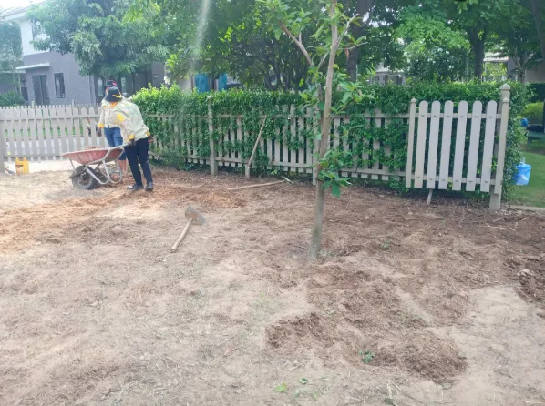 Thiết kế thi công sân vườn quận 9