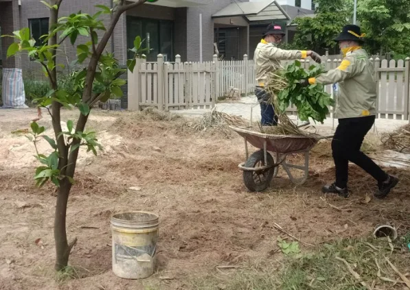 Thiết kế thi công sân vườn quận 9