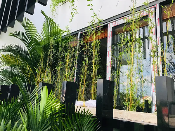 Thiết kế thi công sân vườn spa Cỏ Mây quận 9