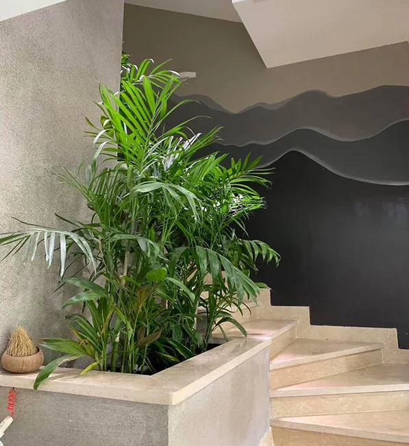 Thiết kế thi công sân vườn spa Cỏ Mây quận 9