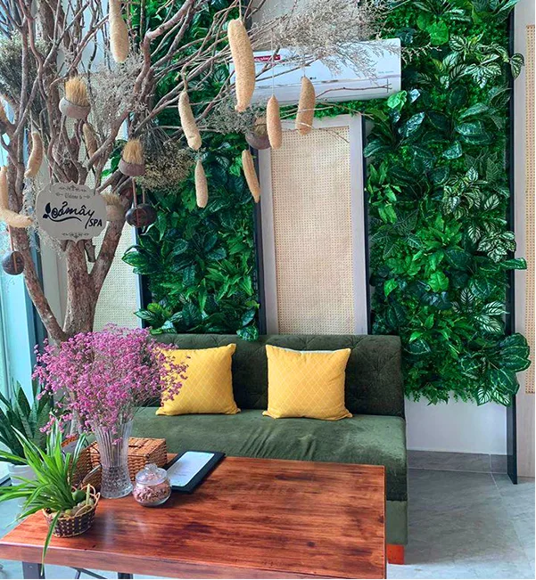Thiết kế thi công sân vườn spa Cỏ Mây quận 9