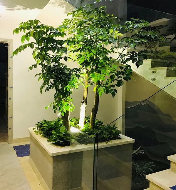 Thiết kế thi công sân vườn spa Cỏ Mây quận 9