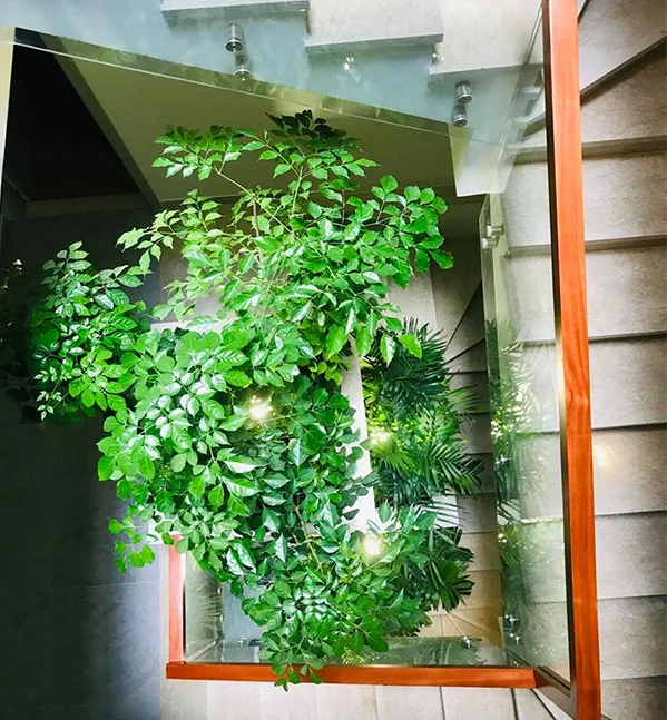 Thiết kế thi công sân vườn spa Cỏ Mây quận 9