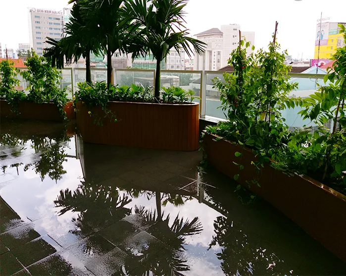 Thiết kế thi công vườn trên mái khu dân cư
