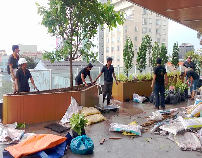 Thiết kế thi công vườn trên mái khu dân cư