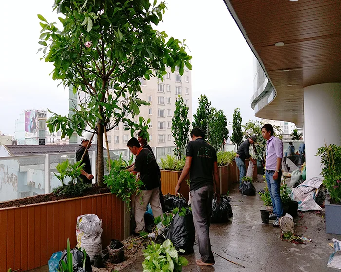 Thiết kế thi công vườn trên mái khu dân cư