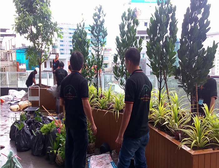 Thiết kế thi công vườn trên mái khu dân cư
