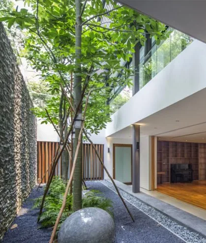 Thiết kế tiểu cảnh giếng trời