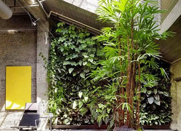 Thiết kế tiểu cảnh giếng trời
