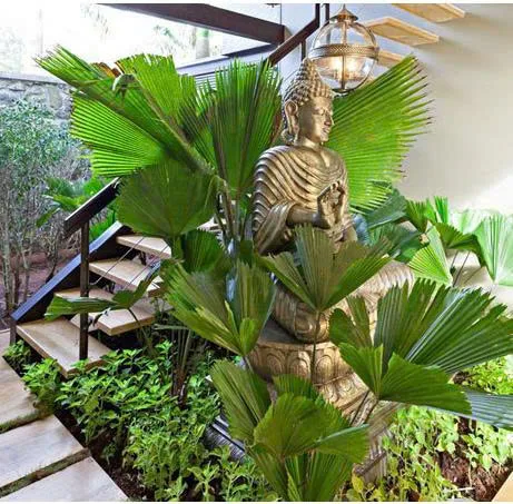 Thiết kế tiểu cảnh khô