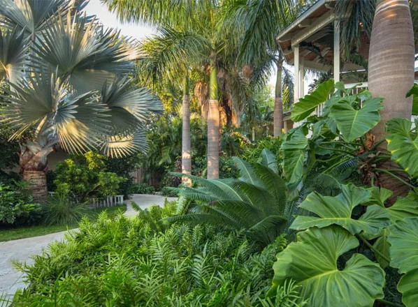 Thiết kế tiểu cảnh sân vườn