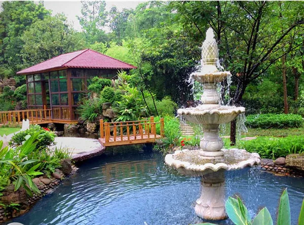 Thiết kế tiểu cảnh sân vườn