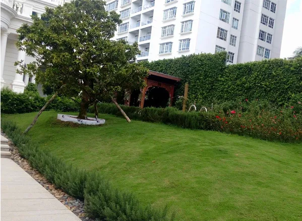 Thiết kế tiểu cảnh trước nhà