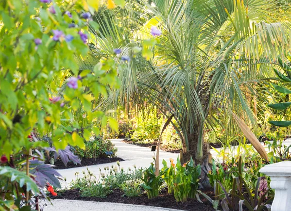Thiết kế tiểu cảnh trước nhà