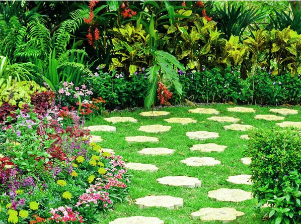 Thiết kế tiểu cảnh trước nhà
