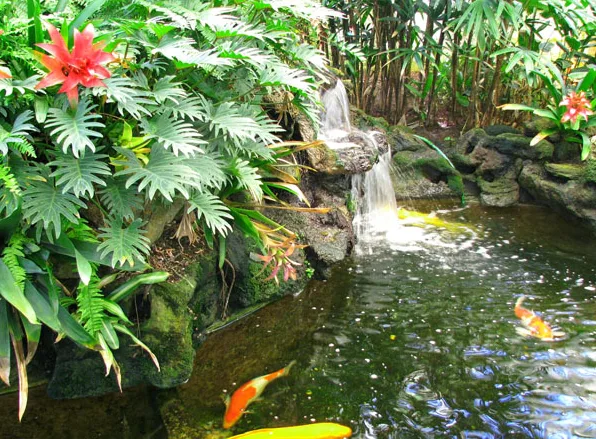 Thiết kế tiểu cảnh trước nhà