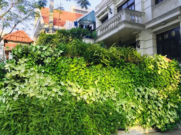 Thiết kế tiểu cảnh trước nhà