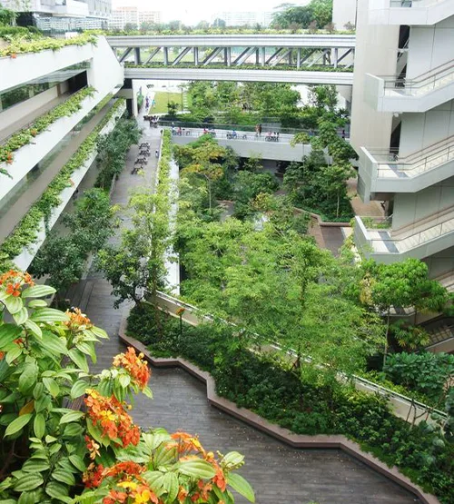 Thiết kế và thi công cảnh quan đẹp