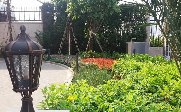 Thiết kế và thi công sân vườn biệt thự Lavilla