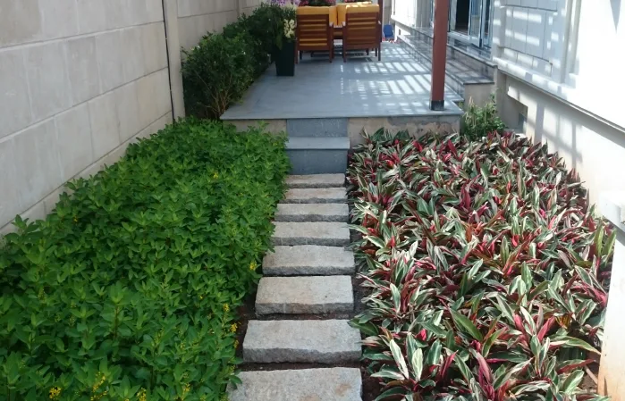 Thiết kế và thi công sân vườn biệt thự Lavilla