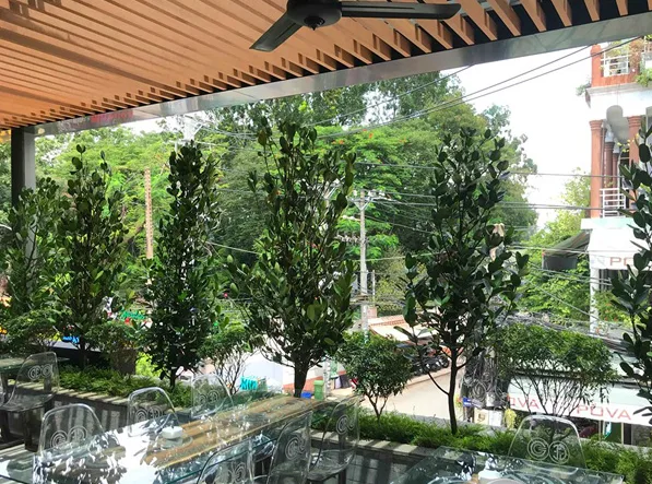 Thiết kế và thi công sân vườn cafe GCC