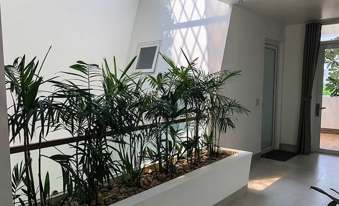 Thiết kế và thi công sân vườn nhà phố - Ca Sĩ Hồ Quang Hiếu