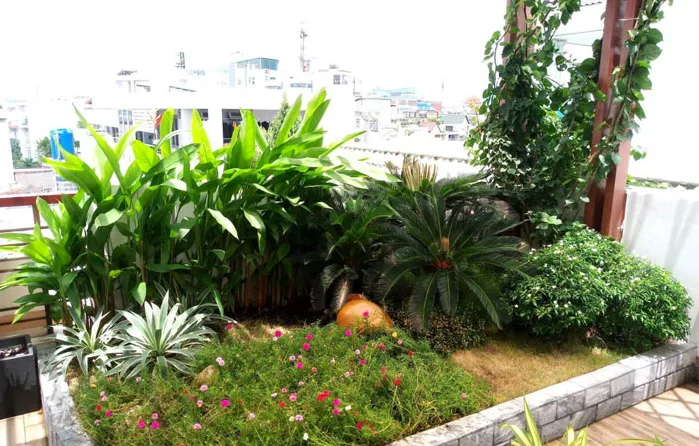 Thiết kế và thi công sân vườn nhà phố - Ca Sĩ Hồ Quang Hiếu