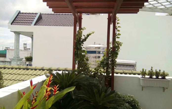 Thiết kế và thi công sân vườn nhà phố - Ca Sĩ Hồ Quang Hiếu