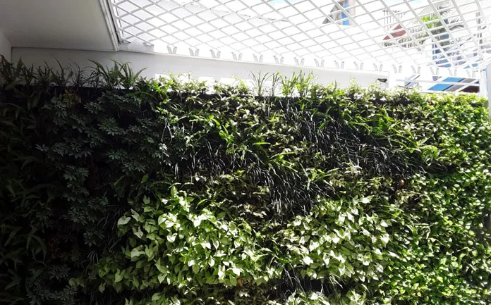 Thiết kế và thi công sân vườn nhà phố - Ca Sĩ Hồ Quang Hiếu