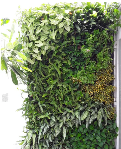 Thiết kế và thi công sân vườn nhà phố - Ca Sĩ Hồ Quang Hiếu
