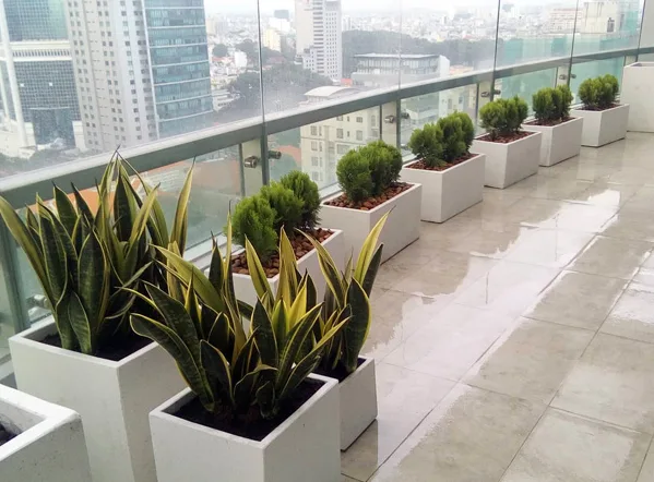 Thiết kế và thi công tiểu cảnh ban công – HH Đặng Thu Thảo