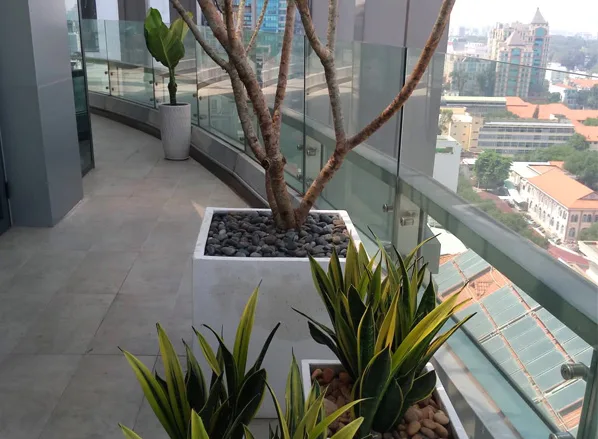 Thiết kế và thi công tiểu cảnh ban công – HH Đặng Thu Thảo
