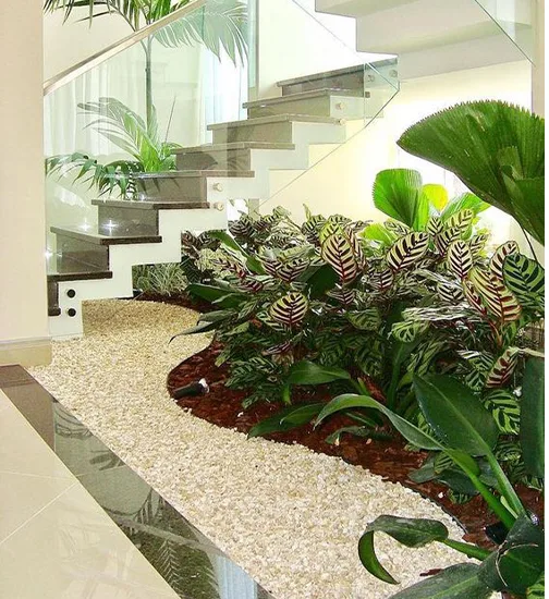Thiết kế và thi công tiểu cảnh đẹp