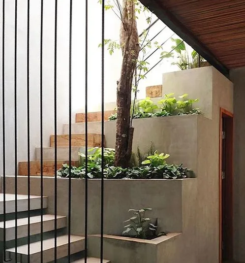 Thiết kế vườn trong nhà