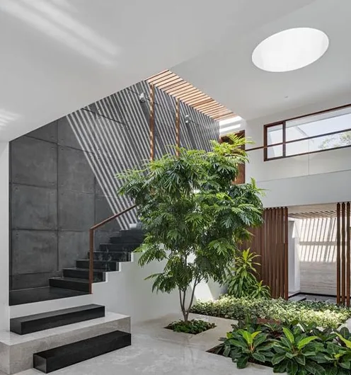 Thiết kế vườn trong nhà