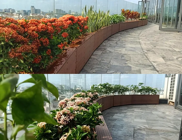 Thiết kế thi công tiểu cảnh Capella
