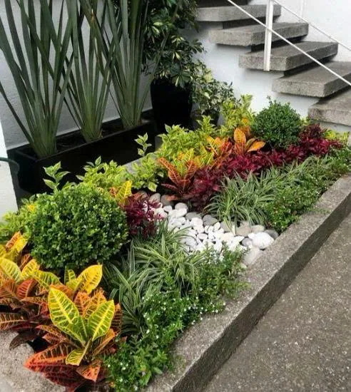 Tiểu cảnh hiện đại