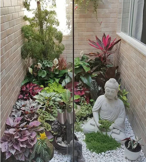 Tiểu cảnh nhà phố