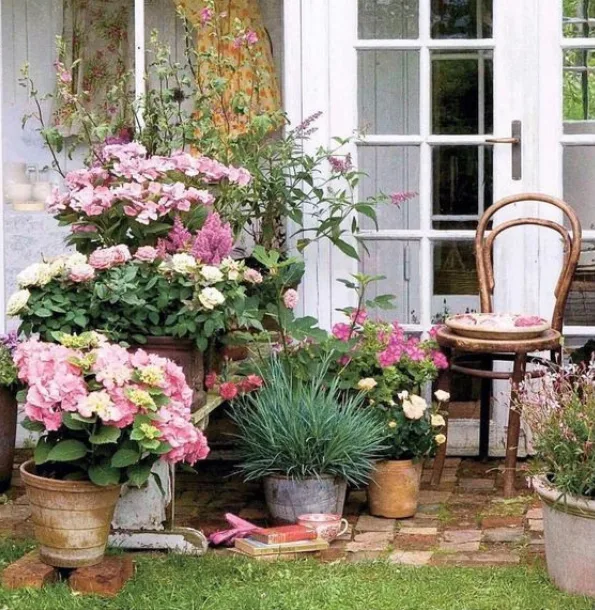 Trang trí vườn hoa mini đẹp mắt