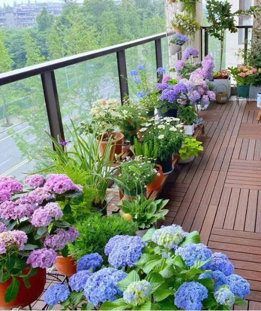 Trang trí vườn hoa mini đẹp mắt