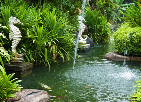 Ý nghĩa phong thủy của hồ cá Koi