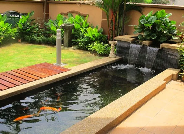 Ý nghĩa phong thủy của hồ cá Koi